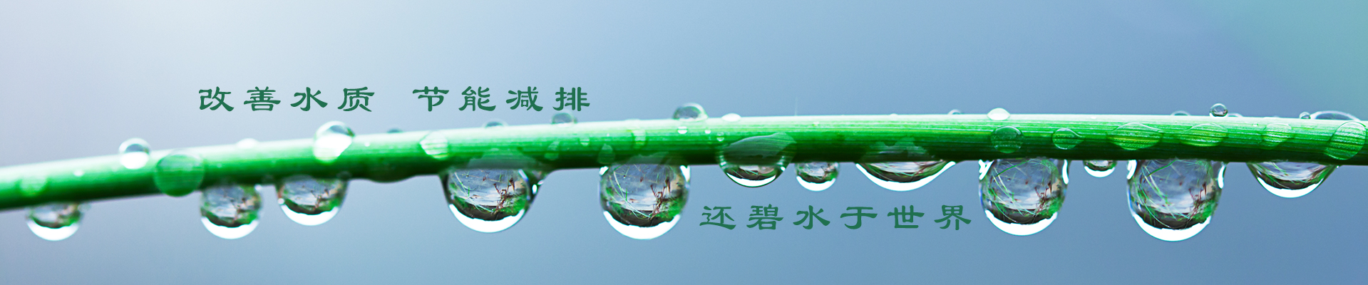 新聞動態(tài)